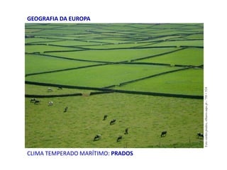 CLIMA TEMPERADO MARÍTIMO: PRADOS
GEOGRAFIA DA EUROPA
Fotoverdesprados,olhares.sapo.pt-750×524
 