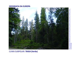 CLIMA SUBPOLAR: TAIGA (Verão)
GEOGRAFIA DA EUROPA
http://commons.wikimedia.org/wiki/File:Mixed_Picea_(Spruce)_forest_from_Vestfold_county_
in_Norway.jpg
 