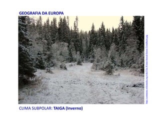 CLIMA SUBPOLAR: TAIGA (Inverno)
GEOGRAFIA DA EUROPA
http://commons.wikimedia.org/wiki/File:Winter-boreal-forest-Trondheim.jpg
 
