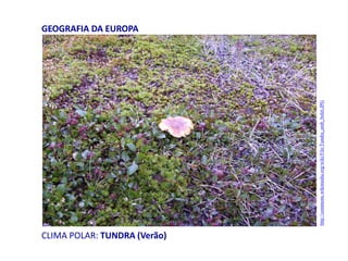 CLIMA POLAR: TUNDRA (Verão)
GEOGRAFIA DA EUROPA
http://commons.wikimedia.org/wiki/File:Tundra_amb_bolet.JPG
 