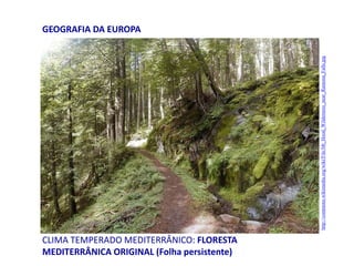 CLIMA TEMPERADO MEDITERRÂNICO: FLORESTA
MEDITERRÂNICA ORIGINAL (Folha persistente)
GEOGRAFIA DA EUROPA
http://commons.wikimedia.org/wiki/File:Mt_Hood_Wilderness_near_Ramona_Falls.jpg
 
