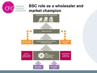 BSC role as a wholesaler and
market champion
 