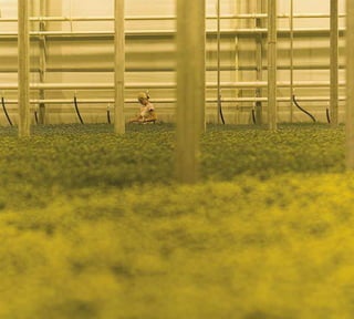 Jaarverslag2007Ingesprek(metonszelf)
3130
 