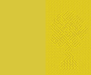 stedin jaarverslag 2007