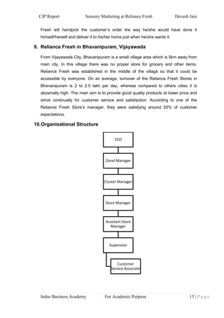 CIP Report of Devesh | PDF