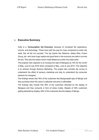 CIP Report of Devesh | PDF