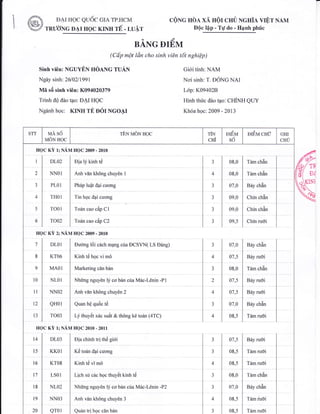 University transcript - Nguyen Hoang Tuan | PDF