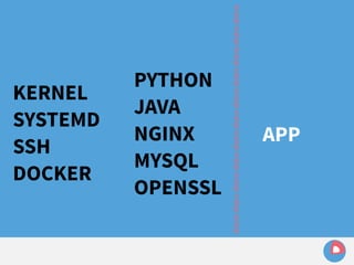 KERNEL 
SYSTEMD 
SSH 
DOCKER 
PYTHON 
JAVA 
NGINX 
MYSQL 
OPENSSL 
distro distro distro distro distro distro distro distro distro distro distro 
APP 
 