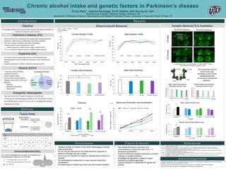 Increased PD Risk
PD
Genetic
Factor
Chronic
Ethanol
Intake
1. Bonifati, V., Oostra, B. A., & Heutink, P. (2004). Linking DJ-1 to neurodegeneration offers novel insights for understanding the pathogenesis of Parkinson’s disease. Journal of
molecular medicine, 82(3), 163-174.
2. Lev, N., Roncevich, D., Ickowicz, D., Melamed, E., & Offen, D. (2006). Role of DJ-1 in Parkinson's disease. Journal of molecular neuroscience, 29(3), 215-225.
3. Meulener, M., Whitworth, A. J., Armstrong-Gold, C. E., Rizzu, P., Heutink, P., Wes, P. D., ... & Bonini, N. M. (2005). Drosophila DJ-1 mutants are selectively sensitive to
environmental toxins associated with Parkinson’s disease. Current Biology, 15(17), 1572-1577.
4. Bowirrat, A., & Oscar‐Berman, M. (2005). Relationship between dopaminergic neurotransmission, alcoholism, and reward deficiency syndrome. American Journal of Medical
Genetics Part B: Neuropsychiatric Genetics, 132(1), 29-37.
5. Bondy, S. C. (1992). Ethanol toxicity and oxidative stress. Toxicology letters, 63(3), 231-241.
6. Attrill H, Falls K, Goodman JL, Millburn GH, Antonazzo G, Rey AJ, Marygold SJ; the FlyBase Consortium. (2016) FlyBase: establishing a Gene Group resource for Drosophila
melanogaster. Nucleic Acids Res. 44(D1):D786-D792
7. Krashes, M. J., Keene, A. C., Leung, B., Armstrong, J. D., & Waddell, S. (2007). Sequential use of mushroom body neuron subsets during Drosophila odor memory
processing. Neuron, 53(1), 103-115.
Methods
Flypub Assay
Results
Chronic alcohol intake and genetic factors in Parkinson’s disease
Emily Park1, Jessica Burciaga, Erick Saldes, and Kyung-An Han
1Neuroscience Program, Wellesley College, Wellesley, MA
Department of Biological Sciences, Neuroscience and Metabolic Disorders Project, University of Texas at El Paso, El Paso, TX
Ethanol-induced Behaviors
Immunohistochemistry
Antennal Lobes
Drosophila melanogaster
Synaptic Molecule DLG Expression
0
1
2
3
4
5
Canton-S Dj-1α/+ Dj-1β/+ Dj-1α/+;
Dj-1β/+
Fluorescence(au)
Male: Basal Fluorescence
Combined Gamma Lobe
0
1
2
3
4
5
Canton-S Dj-1α/+ Dj-1β/+ Dj-1α/+;
Dj-1β/+
Fluorescence(au)
Female: Basal Fluorescence
Combined Gamma Lobe
0
0.5
1
1.5
2
2.5
Canton-S Dj-1α/+ Dj-1β/+ Dj-1α/+; Dj-1β/+
Fluorescence(au)
Male: Lateral Gamma Lobe
0X 6X
*
DJ-1α/+ DJ-1β/+ DJ-1α/+; DJ-1β/+
0
0.5
1
1.5
Canton-S Dj-1α/+ Dj-1β/+ Dj-1α/+; Dj-1β/+
Fluorescence(au)
Female: Lateromedial Gamma Lobe
0X 6X
*
DJ-1α/+ DJ-1β/+ DJ-1α/+; DJ-1β/+
Ethanol (EtOH)
Objective
To investigate whether chronic alcohol intake interacts with genetic risk factors of
Parkinson’s disease for brain functions.
Parkinson’s Disease (PD)
• Second most common progressive neurodegenerative disease worldwide1.
• Symptoms: resting tremors, bradykinesia, and postural instability1.
• Only 10% of cases are familial, while 90% are idiopathic1.
• Oxidative stress is a key pathogenesis process2.
• Cellular exposure to volatile reactive oxygen species (ROS)2.
• DJ-1 is a recessive PD gene involved in oxidative stress response3.
Dopamine (DA)
• PD involves a loss of dopaminergic neurons in the substantia nigra1.
• Neurotransmitter involved in addiction, movement, reward, learning and
memory.
• Dopamine precursors L-DOPA is a hallmark medication for PD2.
This work is supported by: NIDA Award 4R25DA033613-05, NIH/NIAAA 1R15AA020996, NIH-NIMHD-RCMI Grant 2G12MD007592,
and BBRC: Cytometry, Scanning and Imaging Core Facility.
Mushroom body and fly pub schematics are courtesy of Ivan Mercado. IHC schematic courtesy of Paul Sabandal.
In memory of Won Park, who taught me to ask questions incessantly and unapologetically.
Acknowledgements
• A legal drug, widely used drug.
• Increases DA activity4.
• Causes oxidative stress5.
• Chronic alcohol induces adaptive
changes in brain activity that involve
dopamine:
• Tolerance
• Behavioral sensitization
• Dependence4.
• Flies have most of the PD genes, including DJ-1α and DJ-1β6.
• In this study, we used heterozygous mutants DJ-1α/+ and DJ-1β/+ as well as
the transheterozygous mutant DJ-1α/+;DJ-1β/+ to investigate their potential
interactions with ethanol.
-lobe
α’-lobeα-lobe
β-lobe
β’-lobe
The mushroom body of
the fly brain has
homology to the human
hippocampus and
is involved in behavioral
plasticity.7
L = Lateral gamma lobe, LM = Lateromedial, M = Medial, AIMPR = Anterior
Inferior Medial Protocerebrum; Scale bar = 25μm
10
12
14
16
18
20
22
24
26
Exp 1 Exp 2 Exp 3 Exp 4 Exp 5 Exp 6
MST(min)
CS Dj-1α/+ Dj-1β/+ Dj-1α/+; Dj-1β/+
Female Sedation Profile
DJ-1α/+ DJ-1β/+DJ-1β/+ DJ-1α/+; DJ-1β/+
MST, mean sedation time
Tolerance
0
10
20
30
40
50
60
70
Canton-S Dj-1α/+ Dj-1β/+ Dj-1α/+; Dj-1β/+
ToleranceIndex(%)
Male Female
*
*
*
DJ-1α/+ DJ-1α/+; DJ-1β/+DJ-1β/+
p-value: * <0.05, ** <0.005, *** <0.0001
ns = not significant
n = 6-12
To monitor synaptogenesis, we used immunostaining on
the postsynaptic molecule DLG (PSD-95)
1ST anti-DLG antibody made in a mouse
2ND anti-mouse IgG conjugated with Alexa 488
DLG (PSD-95)
Day of
Adulthood 0 1 2 3 4 5 6 7 8 9 10
EtOH
Exposure
Day
1 2 3 4 5 6
MST
Collect Rest
      Dissect
&
IH
   Disinhibition
DJ-1α/+ DJ-1β/+
10
12
14
16
18
20
22
24
26
Exp 1 Exp 2 Exp 3 Exp 4 Exp 5 Exp 6
MST(min)
CS Dj-1α/+ Dj-1β/+ Dj-1α/+; Dj-1β/+
Male Sedation Profile
DJ-1α/+ DJ-1β/+ DJ-1α/+; DJ-1β/+
0
5
10
15
20
25
CS Dj-1α/+ Dj-1β/+ Dj-1α/+; Dj-1β/+
MST(min)
*
*
Female Initial Sensitivity
DJ-1α/+; DJ-1β/+DJ-1α/+ DJ-1β/+
0
5
10
15
20
25
CS Dj-1α/+ Dj-1β/+ Dj-1α/+; Dj-1β/+
MST(min)
DJ-1α/+
ns
Male Initial Sensitivity
DJ-1α/+; DJ-1β/+DJ-1β/+
Behavioral Disinhibition and Sensitization
0
5
10
15
20
25
30
35
40
45
Exp 1 Exp 2 Exp 3 Exp 6
Malesengagedincourtship(%)
CS Dj-1α/+ Dj-1β/+ Dj-1α/+; Dj-1β/+
n = 6
DJ-1β/+ DJ-1α/+; DJ-1β/+DJ-1α/+
Introduction
Mean Sedation
Time (MST)
Disinhibition
EtOH
Record how long
it takes for flies to
sedate
Score percentage
of male flies that
court other males
Dissection,
Immunohisto-
chemical (IH)
analysis
CSFemaleCSMale
No EtOH Exposure 6X EtOH Exposure
NROI:AIMPR
L
LM M
• Sedation profiles of Canton-S and all PD heterozygous mutants
were comparable.
• DJ-1β may be important for the initial sensitivity response to
ethanol in females but not in males.
• DJ-1α may be important for tolerance development to ethanol in
females.
• DJ heterozygous mutants tend to have reduced behavioral
sensitization.
• DJ heterozygous mutants may have reduced synaptic plasticity.
Conclusions
• Test additional ethanol exposures and
concentrations to clarify the roles of DJ-1 in
behavioral sensitization.
• Examine additional synaptic molecules to uncover
changes in synaptic plasticity.
• Investigate an age factor in ethanol x gene
interaction by testing aged flies.
• Explore interaction of additional PD genes with
ethanol.
Future Direction References
Oxidative
Stress
DJ-1α/+ DJ-1β/+ DJ-1α/+;
DJ-1β/+
DJ-1α/+ DJ-1β/+ DJ-1α/+;
DJ-1β/+
 