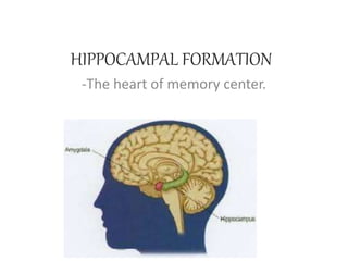 HIPPOCAMPAL FORMATION
-The heart of memory center.
 