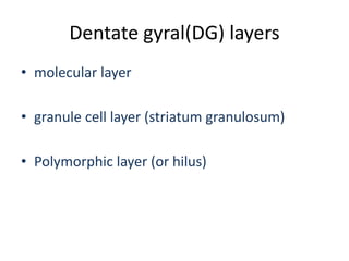 Dentate gyral(DG) layers
• molecular layer
• granule cell layer (striatum granulosum)
• Polymorphic layer (or hilus)
 