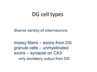 DG cell types
diverse variety of interneurons
mossy fibers – axons from DG
granule cells – unmyelinated
axons – synapse on CA3
only excitatory output from DG
 
