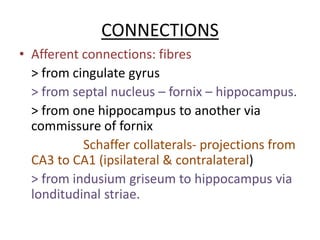 CONNECTIONS
• Afferent connections: fibres
> from cingulate gyrus
> from septal nucleus – fornix – hippocampus.
> from one hippocampus to another via
commissure of fornix
Schaffer collaterals- projections from
CA3 to CA1 (ipsilateral & contralateral)
> from indusium griseum to hippocampus via
londitudinal striae.
 
