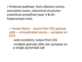 > Preforant pathway- from olfactory cortex,
association areas, subcortical structures-
entorhinal cortex(from layer II & III)-
hippocampal areas.
> mossy fibers – axons from DG granule
cells – unmyelinated axons – synapse on
CA3
-sole excitatory output from DG
-multiple granule cells can synapse on
a single pyramidal cell
 