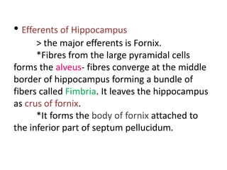 • Efferents of Hippocampus
> the major efferents is Fornix.
*Fibres from the large pyramidal cells
forms the alveus- fibres converge at the middle
border of hippocampus forming a bundle of
fibers called Fimbria. It leaves the hippocampus
as crus of fornix.
*It forms the body of fornix attached to
the inferior part of septum pellucidum.
 