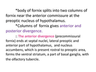 *body of fornix splits into two columns of
fornix near the anterior commissure at the
preoptic nucleus of hypothalamus.
*Columns of fornix gives anterior and
posterior divergence.
:: The anterior divergence (precommissural
fornix) ends at septal nuclei, lateral preoptic and
anterior part of hypothalamus, and nucleus
accumbens, which is present rostral to preoptic area,
forms the ventral striatum, a part of basal ganglia, with
the olfactory tubercle.
 