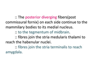 :: The posterior diverging fibers(post
commissural fornix) on each side continue to the
mammilary bodies to its medial nucleus.
:: to the tegmentum of midbrain.
:: fibres join the stria medularis thalami to
reach the habenular nuclei.
:: fibres join the stria terminalis to reach
amygdala.
 