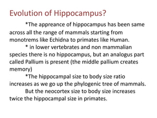 Evolution of Hippocampus?
*The appreance of hippocampus has been same
across all the range of mammals starting from
monotrems like Echidna to primates like Human.
* in lower vertebrates and non mammalian
species there is no hippocampus, but an analogus part
called Pallium is present (the middle pallium creates
memory)
*The hippocampal size to body size ratio
increases as we go up the phylogenic tree of mammals.
But the neocortex size to body size increases
twice the hippocampal size in primates.
 