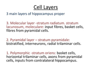 Cell Layers
3 main layers of hippocampus proper
3. Molecular layer -stratum radiatum. stratum
lacunosum, moleculare: input fibres, basket cells,
fibres from pyramidal cells.
2. Pyramidal layer – stratum pyramidale:
bistratified, interneurons, radial trilaminar cells.
1. Polymorphic -stratum oriens: basket cells,
horizontal trilaminar cells, axons from pyramidal
cells, inputs from contralateral hippocampus.
 