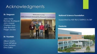 Acknowledgments
Dr. Fountain
Allison Martin
Dave DiPalma
Cory Jackson
Dino Salkic
Dr. Ferguson
Jake Merle
Ramses Rodriguez
John Hasper
Chelsea May
Josh Blundon
Paige Jacobs
National Science Foundation
Supported by NSF RUI (1243951) to SBF
Fredonia
 