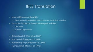 IRES Translation
• Internal Ribosomal Entry Site
• This is a cap-independent mechanism of translation initiation
• Examples Studied in Essential Eukaryotic mRNAs
• Cell Stress
• Nutrient Deprivation
• Drosophila InR (Marr et al. 2007)
• Human InR (Spriggs et al. 2009)
• Human Hsp70 (Rubtsova et al. 2003)
• Human VEGF (Stein et al. 1998)
 