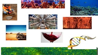 [2C7]Solving large scale data problems with OpenStack