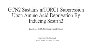 GCN2 Sustains mTORC1 Suppression
Upon Amino Acid Deprivation By
Inducing Sestrin2
Ye, et al., 2015. Genes & Development
Supervisor: Dr. Moorhead
Brooke Rackel & Ahmad R. Vahab
 