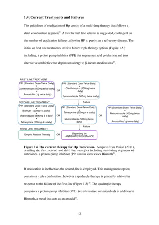 12
1.4. Current Treatments and Failures
The guidelines of eradication of Hp consist of a multi-drug therapy that follows a
strict combination regimen25
. A first to third line scheme is suggested, contingent on
the number of eradication failures, allowing HP to persist as a refractory disease. The
initial or first line treatments involve binary triple therapy options (Figure 1.5.)
including, a proton pump inhibitor (PPI) that suppresses acid production and two
alternative antibiotics that depend on allergy to β-lactam medications25
.
Figure 1.6 The current therapy for Hp eradication. Adapted from Pinion (2011),
detailing the first, second and third line strategies including multi-drug regimens of
antibiotics, a proton-pump inhibitor (PPI) and in some cases Bismuth26
.
If eradication is ineffective, the second-line is employed. This management option
contains a triple combination, however a quadruple therapy is generally advised in
response to the failure of the first line (Figure 1.5)25
. The quadruple therapy
comprises a proton-pump inhibitor (PPI), two alternative antimicrobials in addition to
Bismuth, a metal that acts as an antacid25
.
 