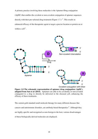 18
A primary practice involving these molecules is the Aptamer-Drug conjugation
(ApDC) that enables the covalent or non-covalent conjugation of aptamer sequences
directly with their pre-selected drug treatment (Figure 1.7.) 37
. This results in
enhanced efficacy of the therapeutic agent to target a precise location or protein on or
within a cell37
.
Figure 1.8 The schematic representation of aptamer drug conjugation (ApDC),
adapted from Sun et al (2014). Aptamers are able to be covalently or non-covalent
conjugated to a drug to directly be delivered to the diseased cell, enhancing the
efficacy of these treatments.
The current gold standard small molecule therapy for many different diseases like
cancers and autoimmune disorders, are antibody-based therapeutics37
. Although they
are highly specific and recognised as non-foreign to the host, various disadvantages
of these biologically derived molecules are displayed.
 