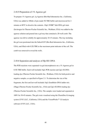 40
2.10.5 Preparation of 1% Agarose gel
To prepare 1% Agarose gel, 1g Agarose (Bio-Rad laboratories Inc., California,
USA) was added to 100mL of pre-made 5X TBE buffer and microwaved for 2
minutes at 80°C to dissolve the contents. 10μL SYBR®
Safe DNA gel stain
(Invitrogen for Thermo Fischer Scientific Inc., Waltham, USA) was added to the
agarose solution and poured into a gel tray that contained a 20-well comb. The
agarose was left to solidify for approximately 10-15 minutes. The tray including
the gel were positioned into the Subcell GT (Bio-Rad laboratories Inc., California,
USA), and filled with 0.5X TBE to the maximum point indicator of the cell. The
comb was removed to reveal the wells.
2.10.6 Separation and analyses of Hp-SS1 DNA
The PCR reactions were separated via gel electrophoresis on a 1% Agarose gel in
0.5X TBE buffer. Each well included: 8μL PCR reaction and 2μL 6X DNA
loading dye (Thermo Fischer Scientific Inc., Waltham, USA) for both positive and
negative samples, as specified in Figure 2.1. To determine the size of the
fragments, the first and last well included: 8μL GeneRuler DNA ladder mix
(50μg) (Thermo Fischer Scientific Inc., USA) and 2μL 6X DNA loading dye
(Thermo Fischer Scientific Inc., USA). The samples were loaded and separated at
100V for 30-45 minutes. The gels were visualised using the ChemiDoc-It imaging
system (UVP, LLC., California, USA) and the VisionWorks™ LS analysis
software (UVP, LLC., USA).
 