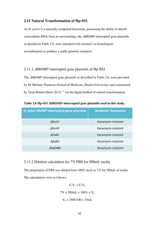 42
2.11 Natural Transformation of Hp-SS1
As H. pylori is a naturally competent bacterium, possessing the ability to absorb
extracellular DNA from its surroundings, the ΔIROMP-interrupted gene plasmids
as detailed in Table 2.6, were intended to be retained via homologous
recombination to produce a stable genomic mutation.
2.11.1 ΔIROMP-interrupted gene plasmids of Hp-SS1
The ΔIROMP-interrupted gene plasmids as described in Table 2.6, were provided
by Dr Melanie Thomson (School of Medicine, Deakin University) and constructed
by Teisa Holani (Hons 2012) 53
via the liquid method of natural transformation.
Table 2.6 Hp-SS1 ΔIROMP–interrupted gene plasmids used in this study.
2.11.2 Dilution calculation for 7% FBS for 500mL media
The preparation of FBS was diluted from 100% stock to 7% for 500mL of media.
The calculations were as follows:
C1V1 = C2V2
7% x 500mL = 100% x V2
V2 = 3500/100 = 35mL
 