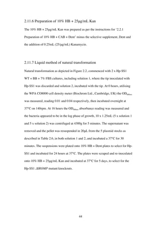 44
2.11.6 Preparation of 10% HB + 25μg/mL Kan
The 10% HB + 25μg/mL Kan was prepared as per the instructions for ‘2.2.1
Preparation of 10% HB + CAB + Dent’ minus the selective supplement, Dent and
the addition of 0.25mL (25/μg/mL) Kanamycin.
2.11.7 Liquid method of natural transformation
Natural transformation as depicted in Figure 2.2, commenced with 2 x Hp-SS1
WT + BB + 7% FBS cultures, including solution 1, where the tip inoculated with
Hp-SS1 was discarded and solution 2, incubated with the tip. At 0 hours, utilising
the WPA CO8000 cell density meter (Biochrom Ltd., Cambridge, UK) the OD600nm
was measured, reading 0.01 and 0.04 respectively, then incubated overnight at
37°C on 140rpm. At 16 hours the OD600nm absorbance reading was measured and
the bacteria appeared to be in the log phase of growth, 10 x 1.25mL (5 x solution 1
and 5 x solution 2) was centrifuged at 4300g for 5 minutes. The supernatant was
removed and the pellet was resuspended in 20μL from the 5 plasmid stocks as
described in Table 2.6, in both solution 1 and 2, and incubated a 37°C for 30
minutes. The suspensions were plated onto 10% HB + Dent plates to select for Hp-
SS1 and incubated for 24 hours at 37°C. The plates were scraped and re-inoculated
onto 10% HB + 25μg/mL Kan and incubated at 37°C for 5 days, to select for the
Hp-SS1 ΔIROMP mutant knockouts.
 