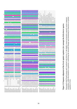 50
Figure3.2SequencealignmentoftheFerricuptakeregulator(fur)amongsttheHelicobacterspecies.
GeneratedwithClustalomegaandvisualisedwithJalview2,thehighlyconservedproteinexposedvarioussequence
similaritieswithinthedistinctiveorganisms,confirmingtheancestrallineageandmaintainingitsfunctionasaglobal
regulatorofiron.
 