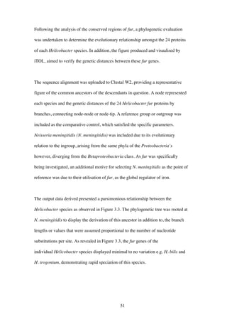 51
Following the analysis of the conserved regions of fur, a phylogenetic evaluation
was undertaken to determine the evolutionary relationship amongst the 24 proteins
of each Helicobacter species. In addition, the figure produced and visualised by
iTOL, aimed to verify the genetic distances between these fur genes.
The sequence alignment was uploaded to Clustal W2, providing a representative
figure of the common ancestors of the descendants in question. A node represented
each species and the genetic distances of the 24 Helicobacter fur proteins by
branches, connecting node-node or node-tip. A reference group or outgroup was
included as the comparative control, which satisfied the specific parameters.
Neisseria meningitidis (N. meningitidis) was included due to its evolutionary
relation to the ingroup, arising from the same phyla of the Proteobacteria’s
however, diverging from the Betaproteobacteria class. As fur was specifically
being investigated, an additional motive for selecting N. meningitidis as the point of
reference was due to their utilisation of fur, as the global regulator of iron.
The output data derived presented a parsimonious relationship between the
Helicobacter species as observed in Figure 3.3. The phylogenetic tree was rooted at
N. meningitidis to display the derivation of this ancestor in addition to, the branch
lengths or values that were assumed proportional to the number of nucleotide
substitutions per site. As revealed in Figure 3.3, the fur genes of the
individual Helicobacter species displayed minimal to no variation e.g. H. bilis and
H. trogontum, demonstrating rapid speciation of this species.
 