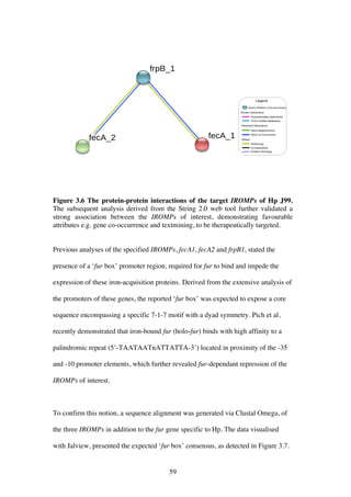 59
Figure 3.6 The protein-protein interactions of the target IROMPs of Hp J99.
The subsequent analysis derived from the String 2.0 web tool further validated a
strong association between the IROMPs of interest, demonstrating favourable
attributes e.g. gene co-occurrence and textmining, to be therapeutically targeted.
Previous analyses of the specified IROMPs, fecA1, fecA2 and frpB1, stated the
presence of a ‘fur box’ promoter region, required for fur to bind and impede the
expression of these iron-acquisition proteins. Derived from the extensive analysis of
the promoters of these genes, the reported ‘fur box’ was expected to expose a core
sequence encompassing a specific 7-1-7 motif with a dyad symmetry. Pich et al,
recently demonstrated that iron-bound fur (holo-fur) binds with high affinity to a
palindromic repeat (5’-TAATAATnATTATTA-3’) located in proximity of the -35
and -10 promoter elements, which further revealed fur-dependant repression of the
IROMPs of interest.
To confirm this notion, a sequence alignment was generated via Clustal Omega, of
the three IROMPs in addition to the fur gene specific to Hp. The data visualised
with Jalview, presented the expected ‘fur box’ consensus, as detected in Figure 3.7.
 