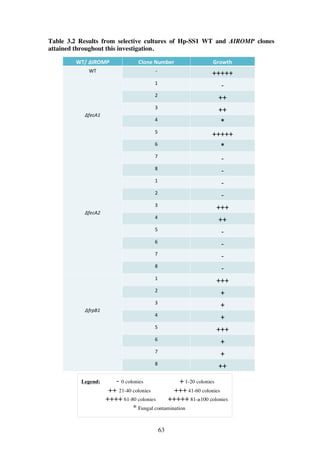 63
Table 3.2 Results from selective cultures of Hp-SS1 WT and ΔIROMP clones
attained throughout this investigation.
Legend: - 0 colonies + 1-20 colonies
++ 21-40 colonies +++ 41-60 colonies
++++ 61-80 colonies +++++ 81-≥100 colonies
* Fungal contamination
 