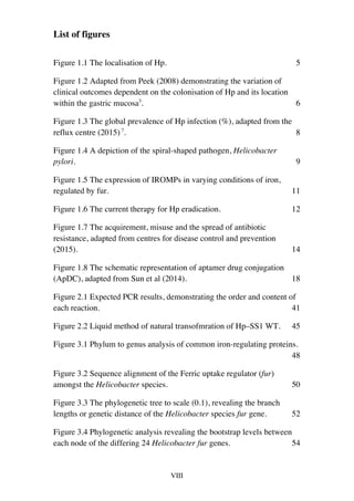 VIII
List of figures
Figure 1.1 The localisation of Hp. 5	
Figure 1.2 Adapted from Peek (2008) demonstrating the variation of
clinical outcomes dependent on the colonisation of Hp and its location
within the gastric mucosa3
. 6	
Figure 1.3 The global prevalence of Hp infection (%), adapted from the
reflux centre (2015) 7
. 8	
Figure 1.4 A depiction of the spiral-shaped pathogen, Helicobacter
pylori. 9	
Figure 1.5 The expression of IROMPs in varying conditions of iron,
regulated by fur. 11	
Figure 1.6 The current therapy for Hp eradication. 12	
Figure 1.7 The acquirement, misuse and the spread of antibiotic
resistance, adapted from centres for disease control and prevention
(2015). 14	
Figure 1.8 The schematic representation of aptamer drug conjugation
(ApDC), adapted from Sun et al (2014). 18	
Figure 2.1 Expected PCR results, demonstrating the order and content of
each reaction. 41	
Figure 2.2 Liquid method of natural transofmration of Hp–SS1 WT. 45	
Figure 3.1 Phylum to genus analysis of common iron-regulating proteins.
48	
Figure 3.2 Sequence alignment of the Ferric uptake regulator (fur)
amongst the Helicobacter species. 50	
Figure 3.3 The phylogenetic tree to scale (0.1), revealing the branch
lengths or genetic distance of the Helicobacter species fur gene. 52	
Figure 3.4 Phylogenetic analysis revealing the bootstrap levels between
each node of the differing 24 Helicobacter fur genes. 54	
 