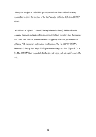 72
Subsequent analysis of varied PCR parameters and reaction combinations were
undertaken to detect the insertion of the KanR
cassette within the differing ΔIROMP
clones.
As observed in Figure 3.12, the succeeding attempts to amplify and visualise the
expected fragments indicative of the insertion of the KanR
cassette within these genes
had failed. The identical patterns continued to appear within each gel attempted of
differing PCR parameters and reaction combinations. The Hp-SS1 WT IROMPs
continued to display their respective fragments of the expected sizes (Figure 3.12a +
b). The ΔIROMP KanR
clones failed to be detected within each attempt (Figure 3.12a
+b).
 