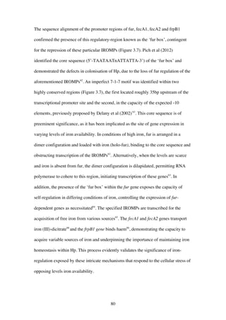 80
The sequence alignment of the promoter regions of fur, fecA1, fecA2 and frpB1
confirmed the presence of this regulatory-region known as the ‘fur box’, contingent
for the repression of these particular IROMPs (Figure 3.7). Pich et al (2012)
identified the core sequence (5’-TAATAATnATTATTA-3’) of the ‘fur box’ and
demonstrated the defects in colonisation of Hp, due to the loss of fur regulation of the
aforementioned IROMPs62
. An imperfect 7-1-7 motif was identified within two
highly conserved regions (Figure 3.7), the first located roughly 35bp upstream of the
transcriptional promoter site and the second, in the capacity of the expected -10
elements, previously proposed by Delany et al (2002)63
. This core sequence is of
preeminent significance, as it has been implicated as the site of gene expression in
varying levels of iron availability. In conditions of high iron, fur is arranged in a
dimer configuration and loaded with iron (holo-fur), binding to the core sequence and
obstructing transcription of the IROMPs63
. Alternatively, when the levels are scarce
and iron is absent from fur, the dimer configuration is dilapidated, permitting RNA
polymerase to cohere to this region, initiating transcription of these genes63
. In
addition, the presence of the ‘fur box’ within the fur gene exposes the capacity of
self-regulation in differing conditions of iron, controlling the expression of fur-
dependent genes as necessitated64
. The specified IROMPs are transcribed for the
acquisition of free iron from various sources65
. The fecA1 and fecA2 genes transport
iron (III)-dicitrate66
and the frpB1 gene binds haem66
, demonstrating the capacity to
acquire variable sources of iron and underpinning the importance of maintaining iron
homeostasis within Hp. This process evidently validates the significance of iron-
regulation exposed by these intricate mechanisms that respond to the cellular stress of
opposing levels iron availability.
 