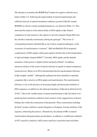 86
The attempt to re-produce the IROMP KanR
mutants for negative selection was a
failure (Table 3.3). Following the liquid method of natural transformation and
sufficient intervals of optimal incubation conditions, growth of Hp-SS1 mutant
IROMPS on selective media including Kanamycin, was deficient (Table 3.3). This
motivated the analysis of the natural ability of DNA uptake in Hp. Natural
competence of some bacteria is the capacity to actively transport foreign DNA into
the cell that is naturally transformed, altering the genotype70
. The review of
corresponding literature identified Hp as one of these competent pathogens, as the
occurrence of transformation is common71
. Mell and Redfield (2014) proposed
complications of DNA uptake within gram-negative bacteria due to the transportation
of rigid and highly charged dsDNA70
. Currently, DNA uptake and the detailed
mechanics of this process is highly limited and poorly defined72
. In addition,
numerous analyses of the action of natural selection in regards to natural competence
remain divisive. Moore et al (2014) demonstrated that the transformation efficiency
in Hp is highly variable73
. Although this pathogen has been identified as naturally
competent, Hp is selective in DNA uptake and transformation. The transformation
efficiency is low in the presence of increasing lengths and decreasing similarity of
DNA sequences, in addition to, the initial growth phases of Hp and in deficient levels
of CO2
73
. Due to the variable nature of natural transformation in Hp, the failure of re-
producing these knockouts could have been causative of the suggested loss of primer
binding sites within the construction of the plasmids. These constructions including
the KanR
cassette could have caused elongation or disruption, loosing similarity of the
sequence, obstructing this process. Alternatively, the attempt of HR via natural
transformation during premature growth phases, in addition to, insufficient conditions
of CO2
caused by a defective AGS system could have caused the observed failure.
 