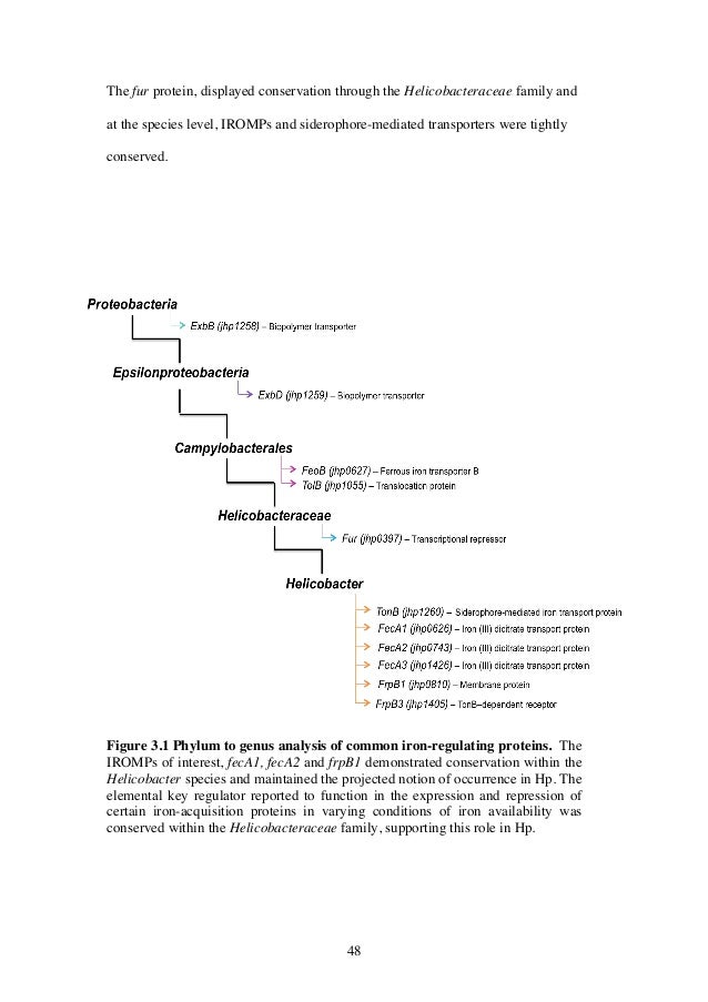 Essay templates word