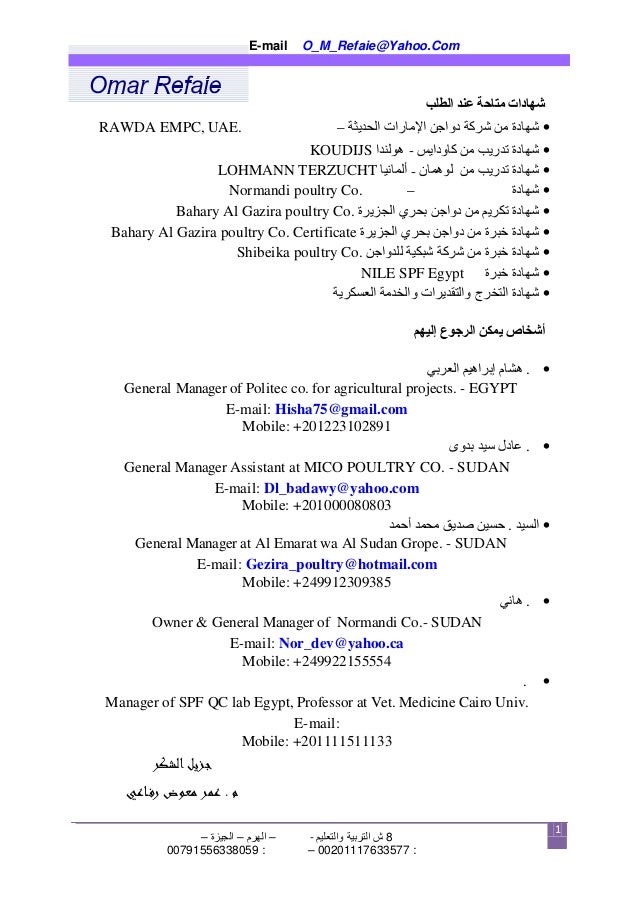 English Arabic CV