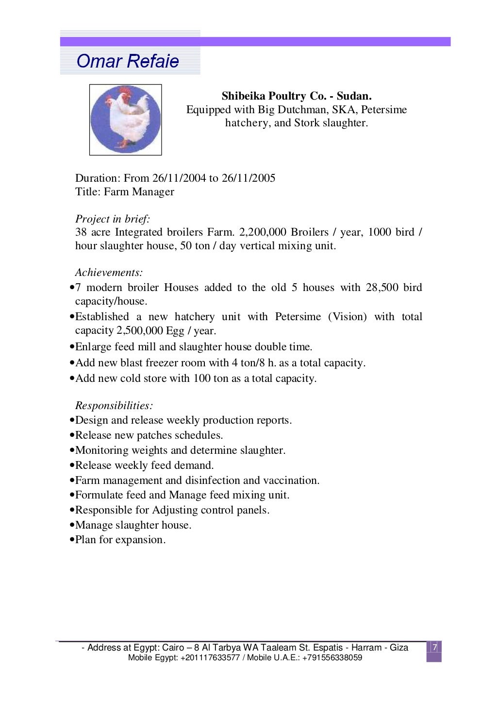 English Arabic CV