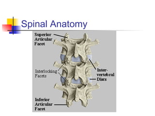 Spinal Injection Layers Spinal_Injections_v2_LinkedIN | PPT