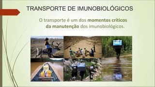 TRANSPORTE DE IMUNOBIOLÓGICOS
O transporte é um dos momentos críticos
da manutenção dos imunobiológicos.
 