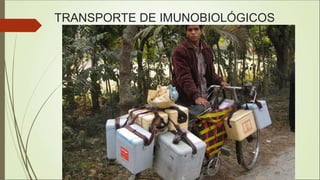 TRANSPORTE DE IMUNOBIOLÓGICOS
 
