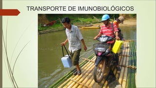 TRANSPORTE DE IMUNOBIOLÓGICOS
 