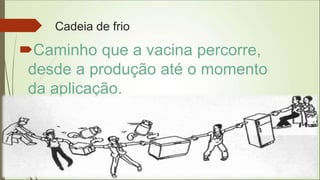 Cadeia de frio
Caminho que a vacina percorre,
desde a produção até o momento
da aplicação.
 