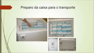 Preparo da caixa para o transporte
 