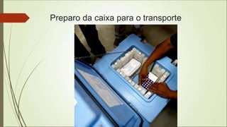 Preparo da caixa para o transporte
 